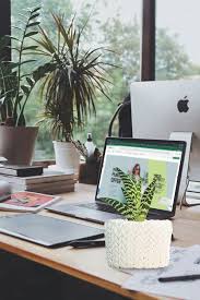Plant ID and Consultation